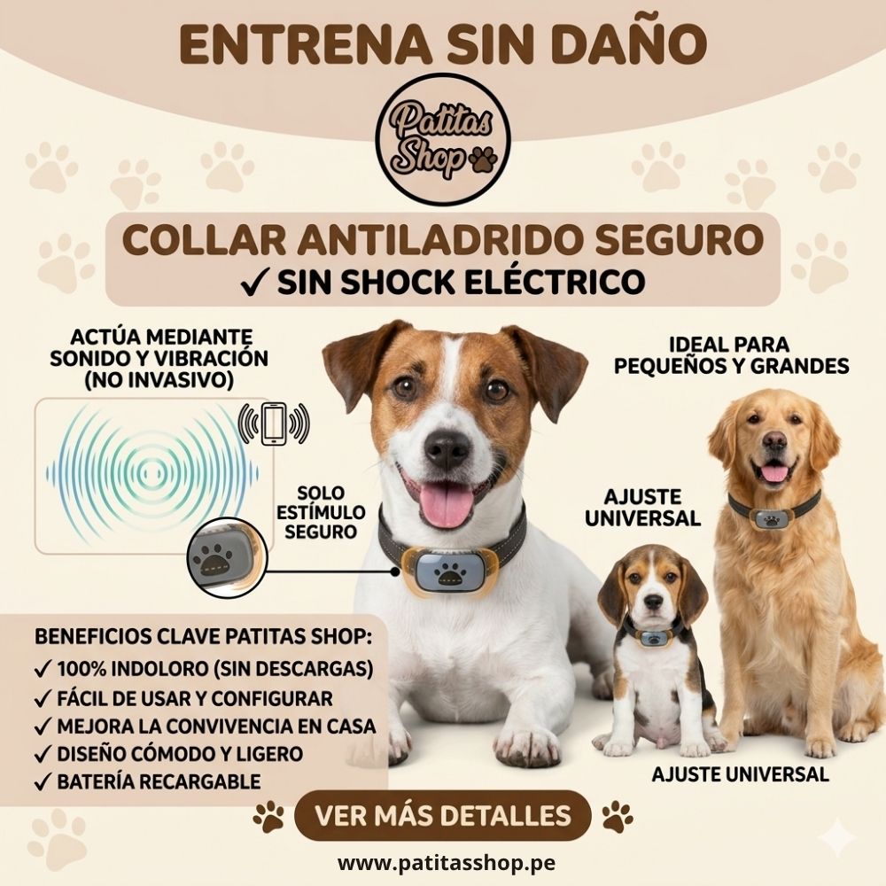 www.patitasshop.pe